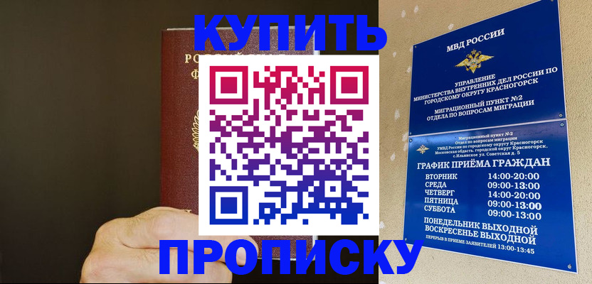 прописка поиск в Выборге
